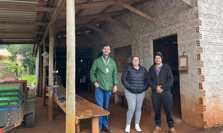 Agricultores de Ibema participam de curso sobre Programa de Qualidade com foco na metodologia dos 5S’s.