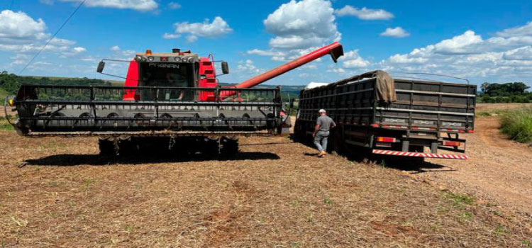 AGRICULTURA: Agricultor de Beltrão atinge marca de 253 sacas de soja por alqueire.
