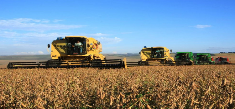 AGRICULTURA: Atraso na colheita da soja faz produtores optarem por outras culturas ao invés do milho.