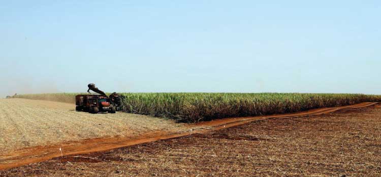 AGRO: Brasil e Japão assinam acordo para desenvolver agricultura digital.