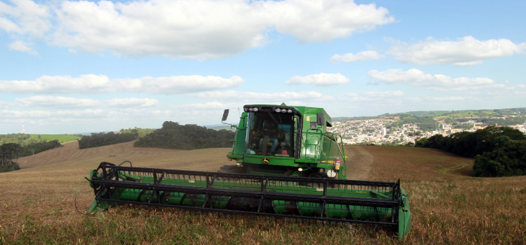 AGRICULTURA: Clima favorece colheita e qualidade do feijão no Paraná, aponta boletim agropecuário.