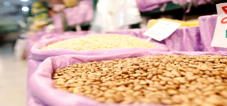 AGRICULTURA: Colheita de feijão avança no Paraná e a expectativa é de aumento na produção.