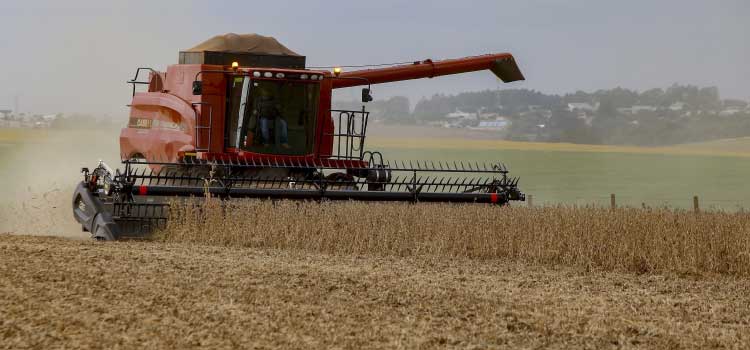 AGRICULTURA: Com estiagem, agricultura paranaense estima redução nas safras de soja, milho e feijão
