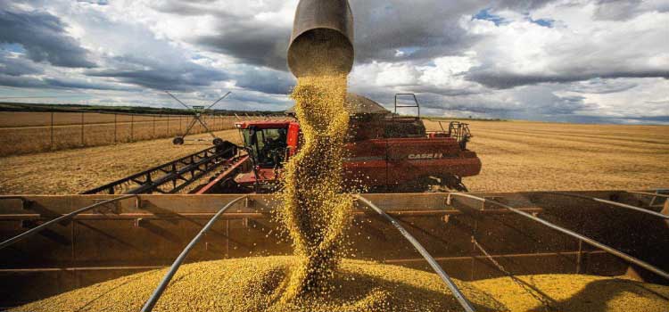 AGRICULTURA: Comércio exterior do agronegócio tem saldo de US$ 9,3 bi em fevereiro.