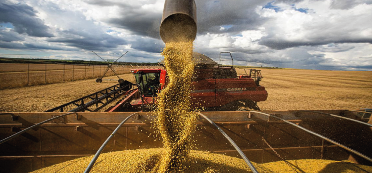 AGRICULTURA: Conab estima 284,4 milhões de toneladas de grãos para safra 2021/22