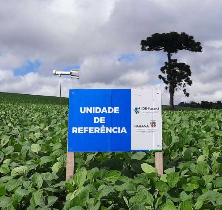 AGRICULTURA: IDR-Paraná inicia os trabalhos da rede Alerta Ferrugem da soja safra 2022/2023.