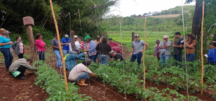 AGRICULTURA: Para incentivar a produção agroecológica, IDR-Paraná investe na capacitação de produtores.