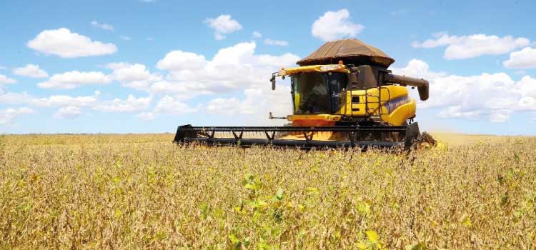 AGRICULTURA: Paraná deve produzir 14,74 milhões de toneladas de grãos na safra de verão