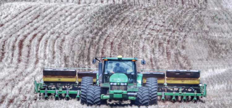 AGRICULTURA: Plantio de soja volta à normalidade; safra deve alcançar 21 milhões de toneladas.