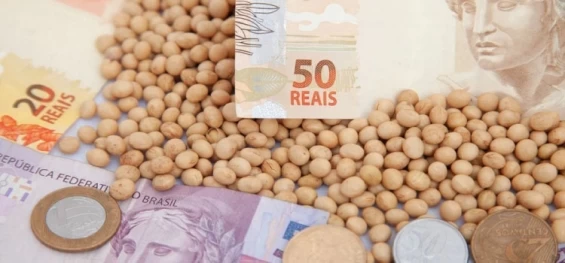 AGRICULTURA: Preços da soja sobem, mas produtores aguardam melhores patamares.