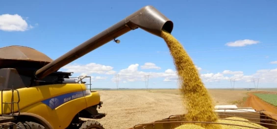 Agricultura prevê aumento de 38% na safra de grãos, estimada em 46,85 milhões de toneladas.