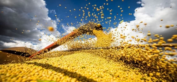 AGRICULTURA: Produção de grãos atinge recorde e tem alta de 18,4% em 2022/2023.