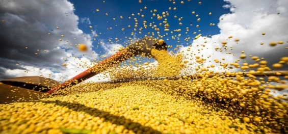 AGRICULTURA: Produção de grãos chegará a 390 milhões de toneladas em 10 anos.