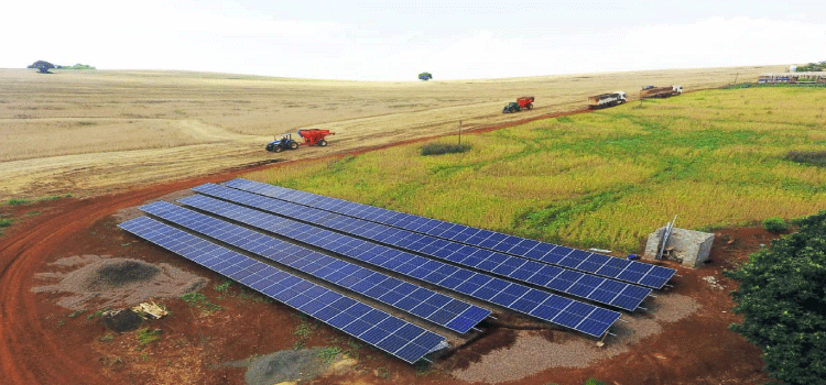 AGRICULTURA: Programa do Estado já viabilizou 2 mil projetos sustentáveis de energia fotovoltaica e biogás.