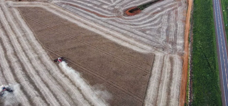 AGRICULTURA: Safra de grãos 21/22 no Paraná pode chegar a 36,9 milhões de toneladas.