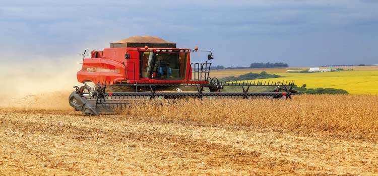 AGRICULTURA: Tempo bom acelera colheitas da soja e do milho nas primeiras semanas do ano