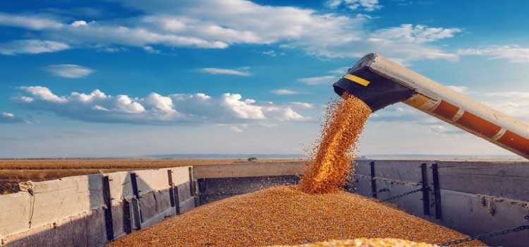 AGRICULTURA: Valor Bruto da Produção de 2021 é estimado em R$ 1,119 trilhão