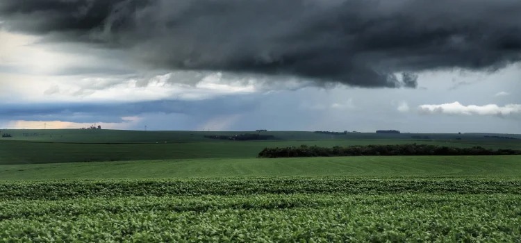 AGRO: Chuvas retornam ao Estado e oferecem melhores condições de plantio, segundo boletim