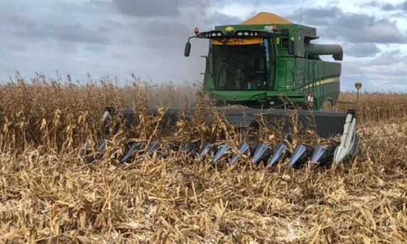AGRO: Com plantio na reta final, colheita da safra de milho verão chega aos 6,8% no Brasil, aponta Conab.