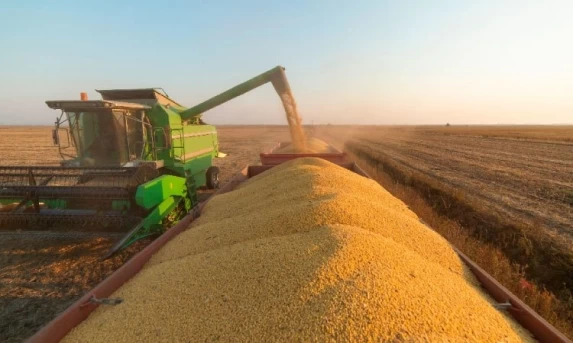 AGRO: Deral reduz previsão de colheita de soja do Paraná; eleva 2ª safra de milho.