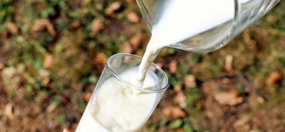 AGRO: Governo vai editar medida tributária para socorrer cadeia produtiva do leite.
