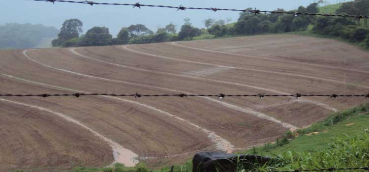 AGRO: Impacto do excesso de chuva na Agricultura do Sul do País