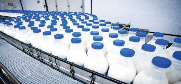 AGRO: Preço do leite e derivados tem queda generalizada em novembro no Paraná
