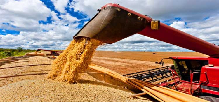 AGRO: Sancionado PL que destina R$ 3 bilhões a produtores rurais