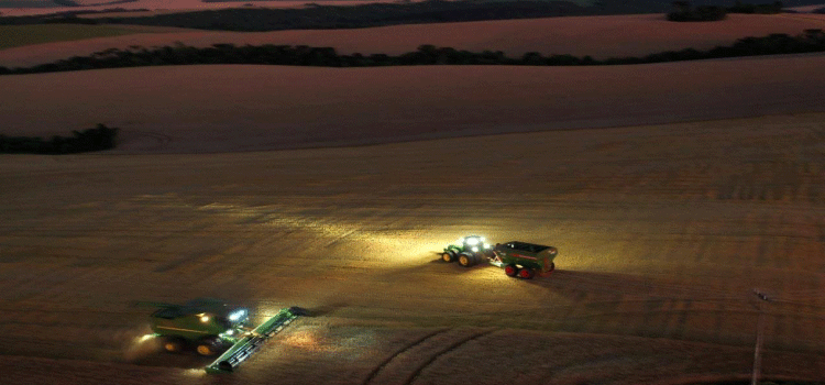 AGRO: Valor Bruto de Produção agropecuária do Paraná cresceu 5% ao ano entre 2012 e 2021.