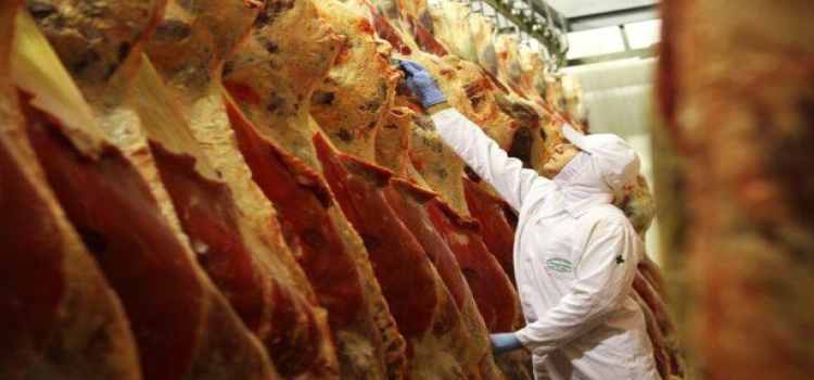 AGRONEGÓCIO: Entidade alerta para crise na indústria de carne no Paraná.