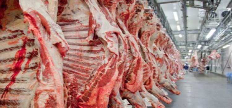 AGRONEGÓCIO: Exportação de carne bovina tem recorde para o 1º semestre de 2022.