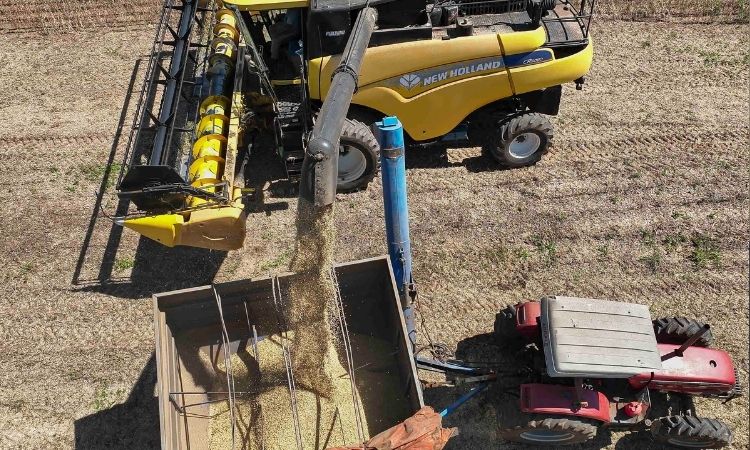 Agronegócio: Paraná lidera pedido de R$ 670 bilhões para o Plano Safra 2026/2027 e defende redução de juros