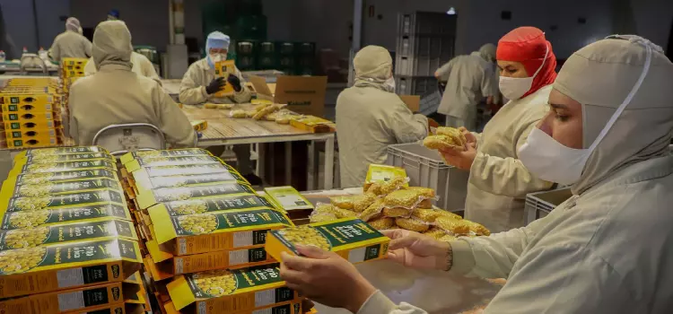 Alimentos processados em empresas paranaenses são líderes nacionais e regionais de vendas