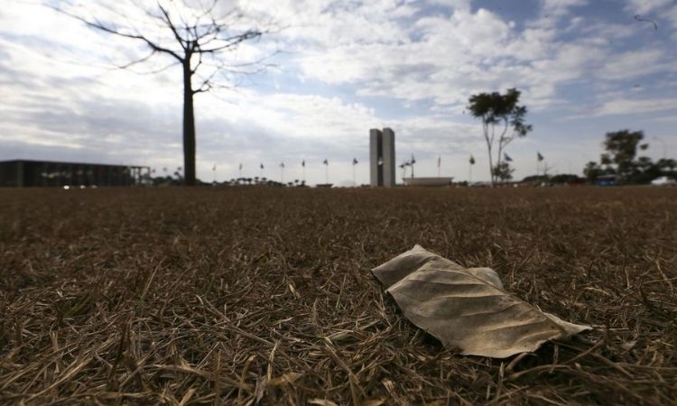 Aquecimento global acima de 1,5°C ameaça saúde, agricultura e economia, alertam especialistas