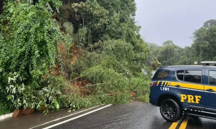 Bloqueios: veja como está a situação das rodovias do Paraná