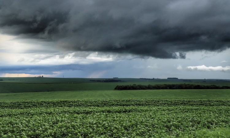 Boletim agrometeorológico analisa chuvas de janeiro no cenário agrícola do Paraná