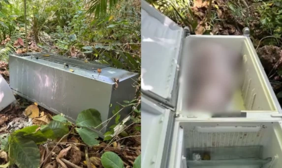 BRASIL: Corpo de mulher é encontrado em geladeira durante mudança; filha de 13 anos é suspeita de cometer o crime para fugir com namorado
