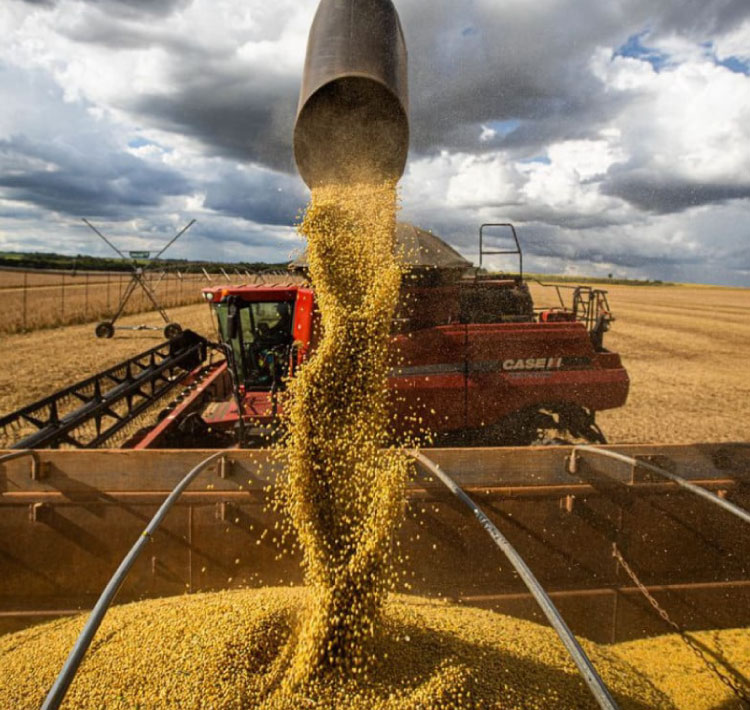 Brasil se consolida como o maior exportador agrícola do mundo.