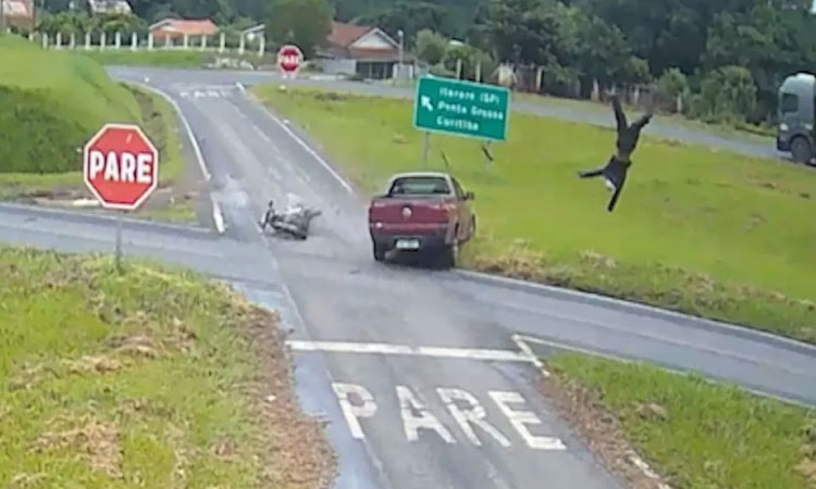 Câmera flagra motociclista sendo arremessado após acidente na PR 090