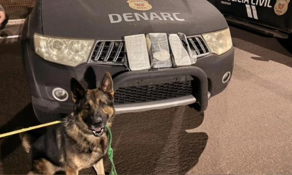 Cão de faro Scooby descobre carga de cocaína avaliada em R$ 224 mil na BR-277