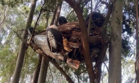 Carro fica pendurado em árvore após acidente impressionante no Norte do Paraná