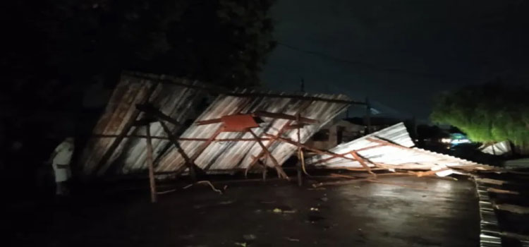 CASCAVEL: Forte chuva causa estragos, árvores caem, casas alagam e moradores ficam sem luz.