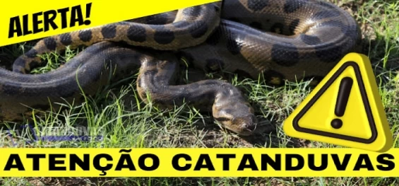CATANDUVAS: Secretaria de Saúde alerta para aparecimento de cobras devido ao calor.