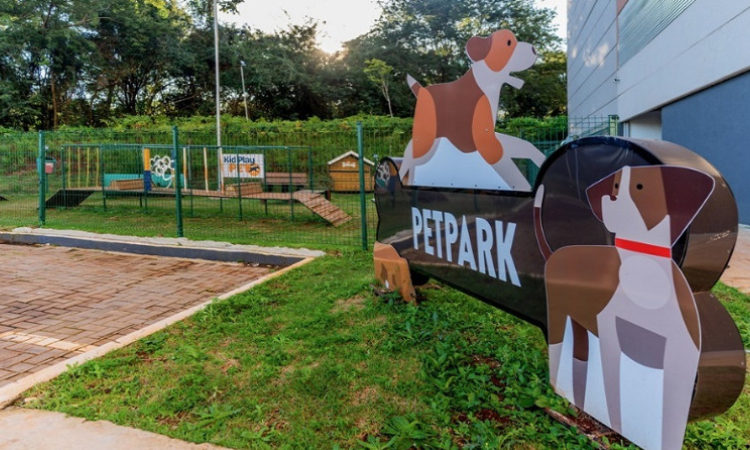 Chegada da primavera exige cuidados redobrados com a saúde e segurança de cães e gatos; especialistas orientam tutores