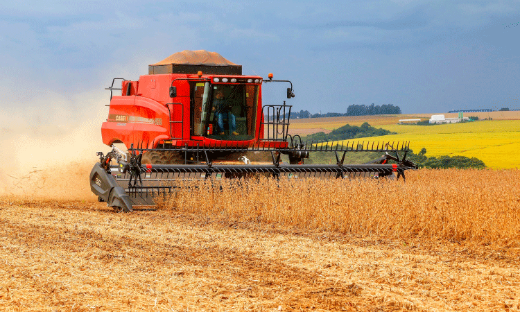 Chuvas favorecem plantio e produção estimada de soja é de 22,4 milhões de toneladas