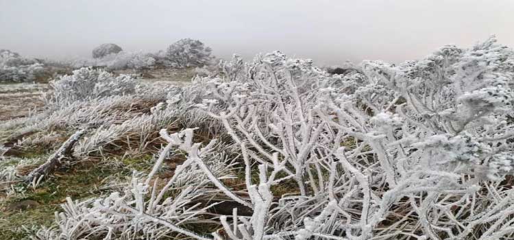 CLIMA: Com -6,4°C, Bom Jardim da Serra tem a menor temperatura de 2022 do sul do país, diz Inmet.