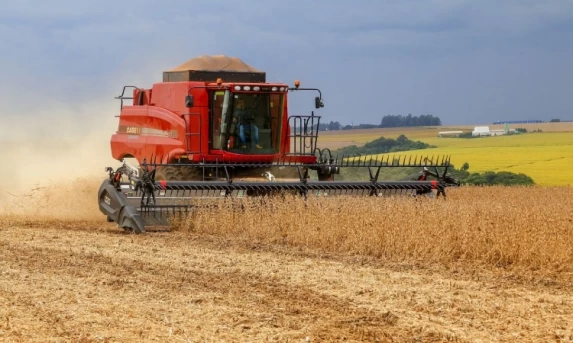 Colheita de soja ultrapassa 60% no Brasil; saiba qual o estado mais avançado