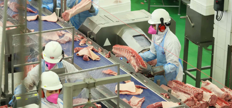Com fim da vacinação, indústrias de carne planejam investimentos bilionários no Paraná