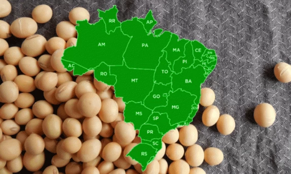 Confira como está o plantio da soja pelo país; Paraná lidera