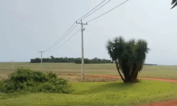 Corpo de homem executado é encontrado em área rural de Nova Aurora